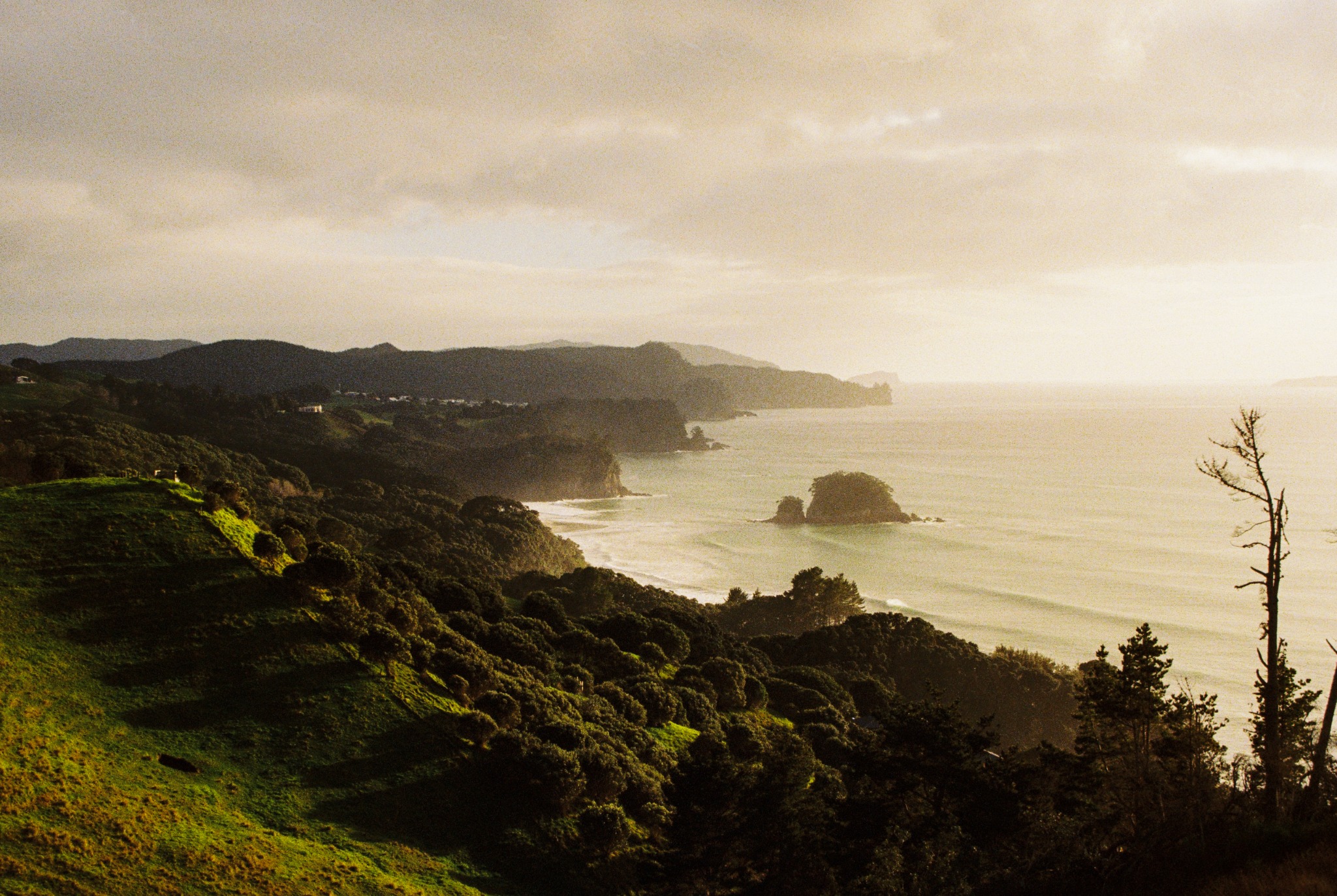 Coastal landscape
