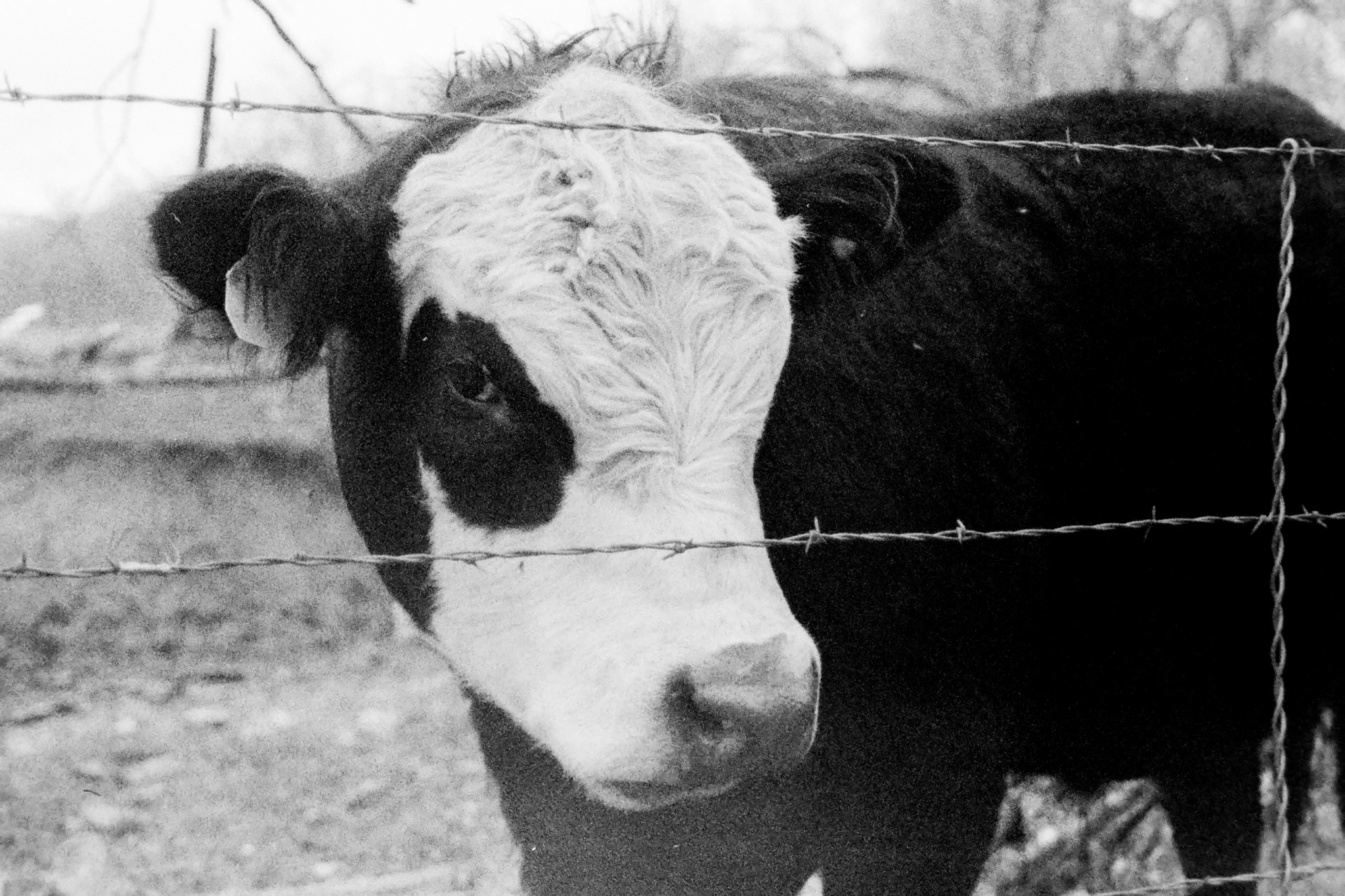 Street photograph